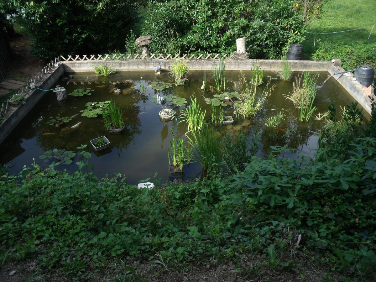 サレルヌ Domaine De La Provenc'Aneヴィラ エクステリア 写真
