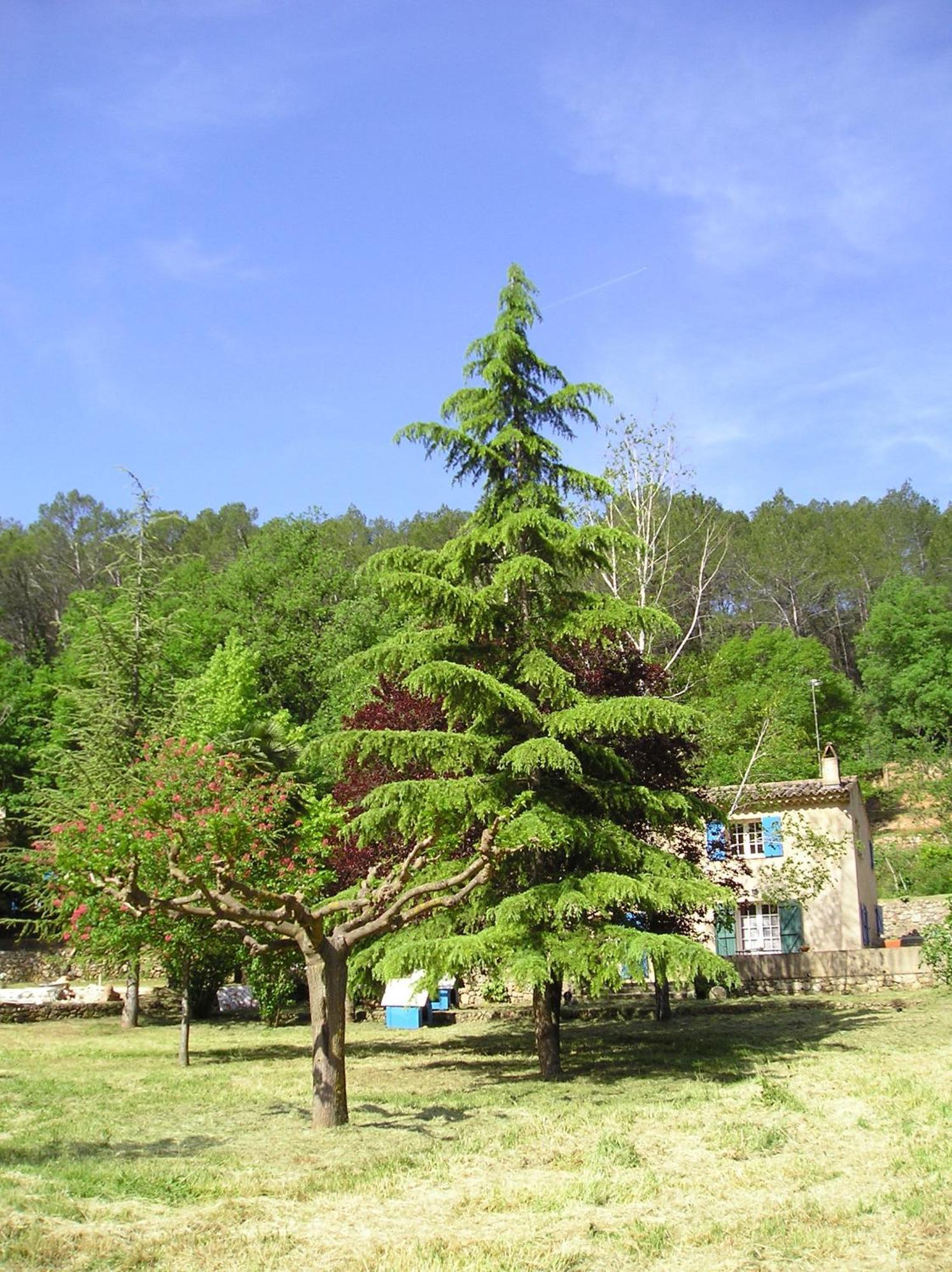 サレルヌ Domaine De La Provenc'Aneヴィラ 部屋 写真